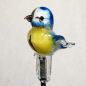 Preview: Gartenvogel Blaumeise